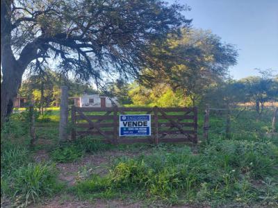 Terrenos Venta Santiago Del Estero TAGLIAVINI VENDE TERRENO EN MACO - A 950 MTS DE CALLE INDEPENDENCIA