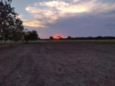 Campos Fincas Chacras Venta Santiago Del Estero VENDO 1 HECTAREAS  PARAJE PALO BORRACHO ( ZONA VILMER )