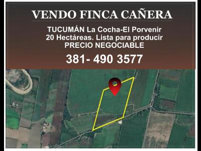 Campos Fincas Chacras Venta VENDO FINCA CA�ERA